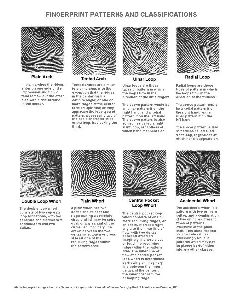 Fingerprint Patterns and Classifications