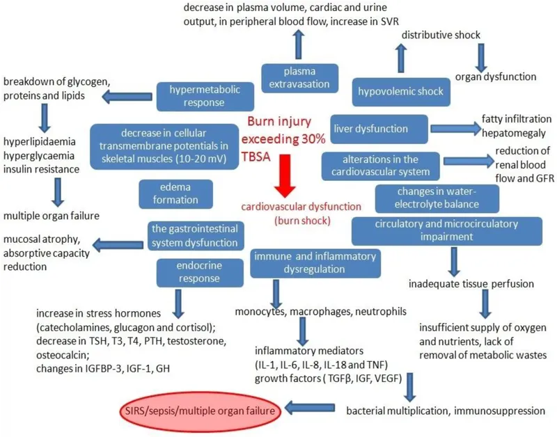 Systemic Complications of Severe Burns