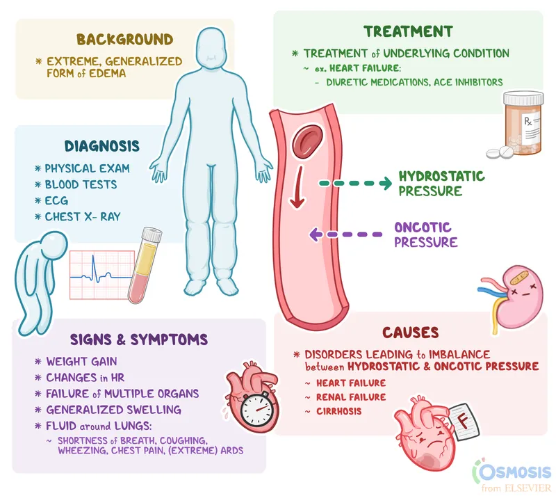 Edema: Causes, Symptoms, Diagnosis, and Treatment
