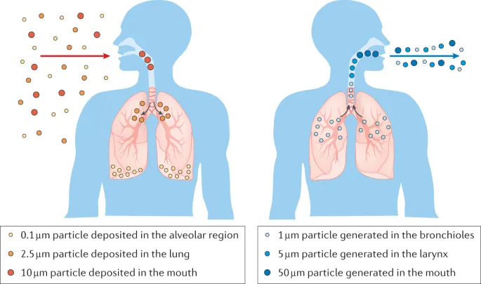 Air pollution particle deposition in the respiratory tract