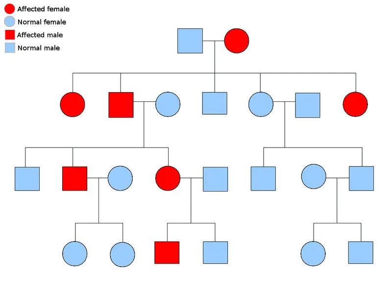 Pedigree Chart Symbols and Patterns