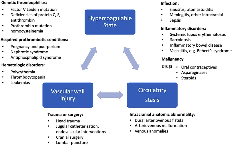 Virchow's Triad and risk factors