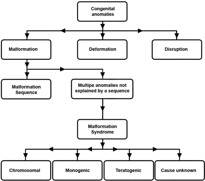 Congenital Anomalies: Malformation, Deformation, Disruption