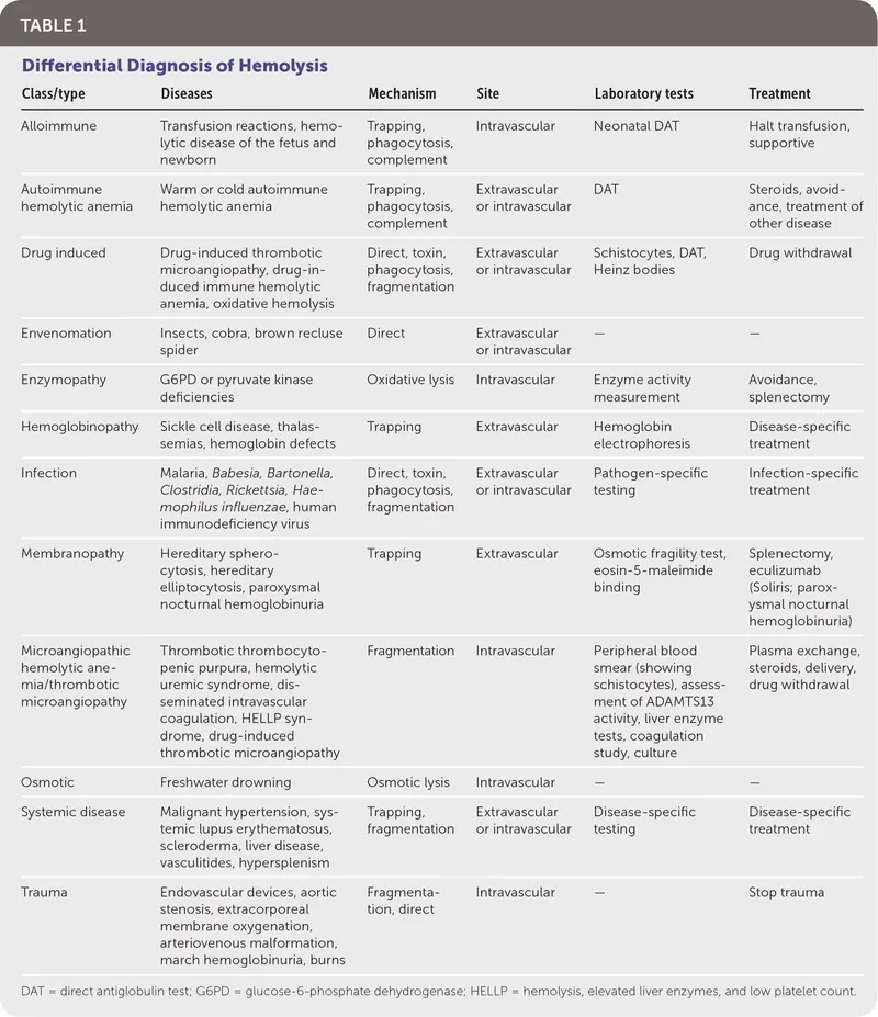Intravascular vs Extravascular Hemolysis Lab Findings