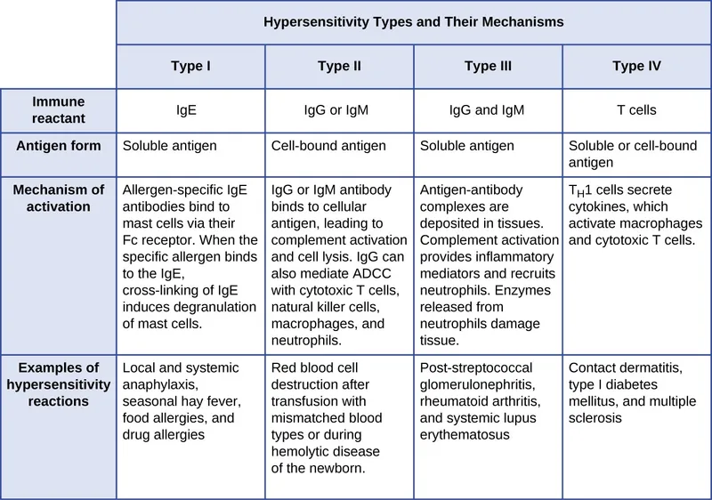 Hypersensitivity Types and Mechanisms Table