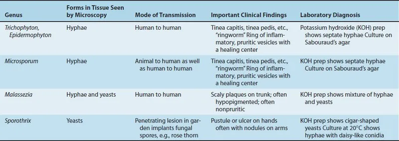 Superficial and Cutaneous Mycoses: Clinical & Lab Findings