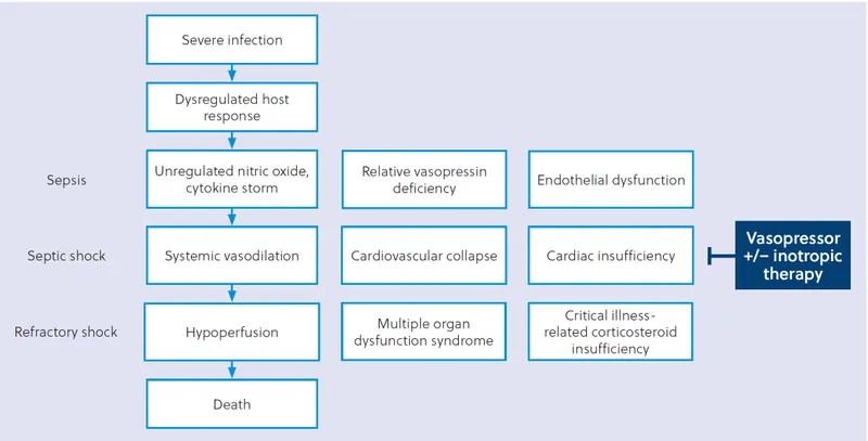 Pathophysiology of Septic Shock