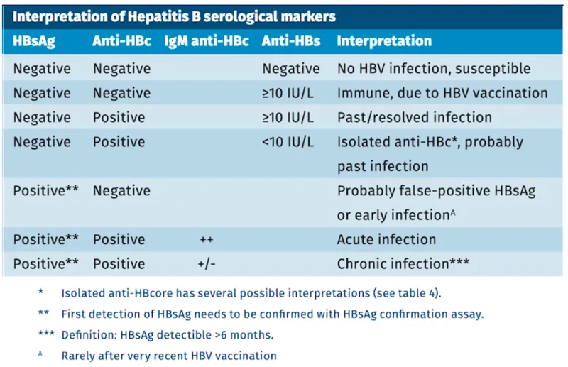 Hepatitis B serological markers interpretation