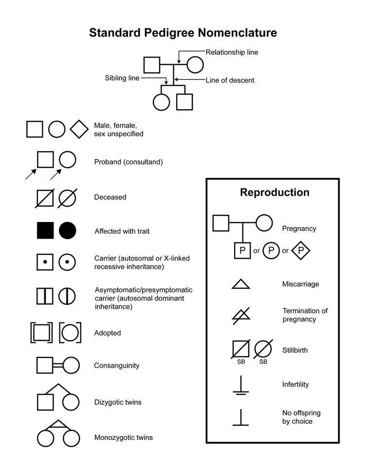 Standard Pedigree Nomenclature Symbols
