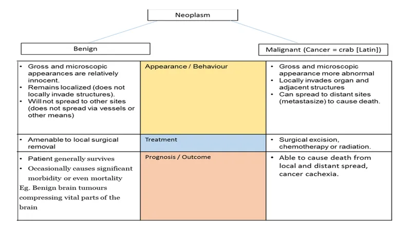 Benign vs Malignant Neoplasms Comparison