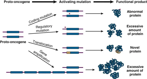 Oncogene activation mechanisms and protein products