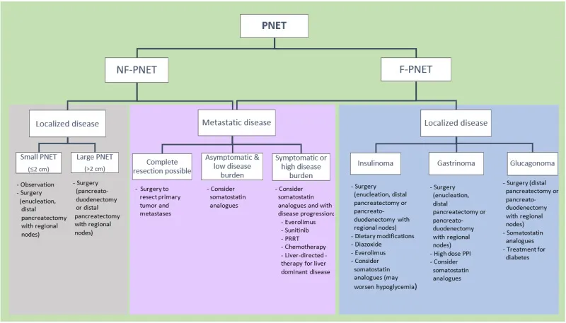 PNET Treatment Algorithm
