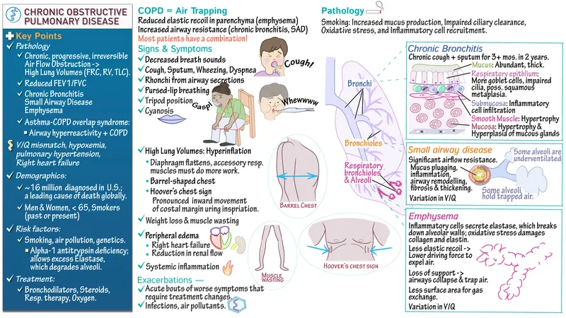 Chronic Bronchitis Histopathology