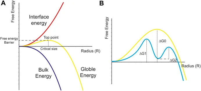 Free energy diagrams for crystal nucleation and growth