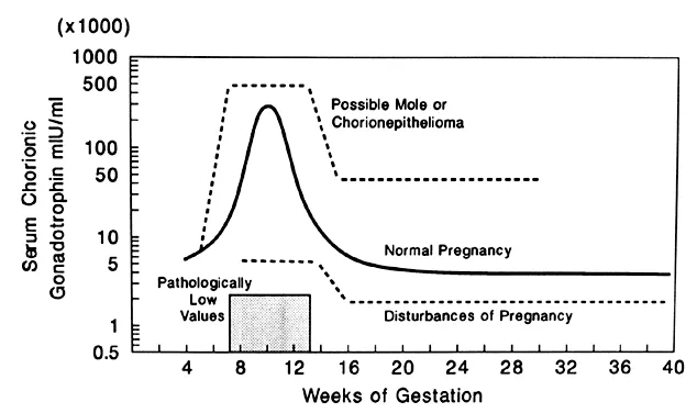 hCG regression curve after molar pregnancy evacuation
