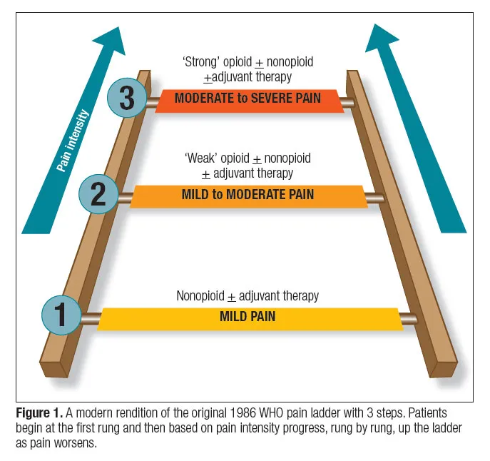 WHO 3-step analgesic ladder for pain management