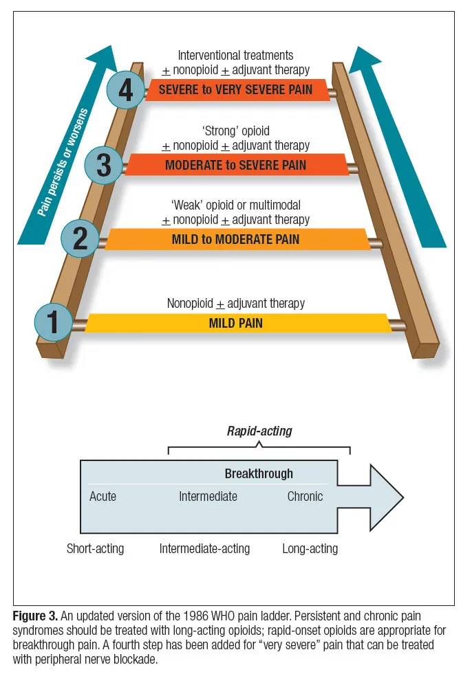 WHO Analgesic Ladder for Cancer Pain Management