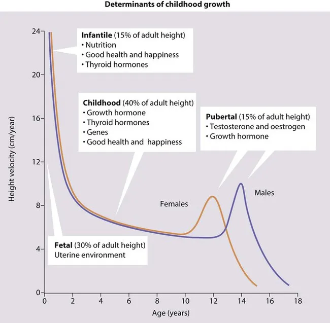 Height velocity by age for males and females