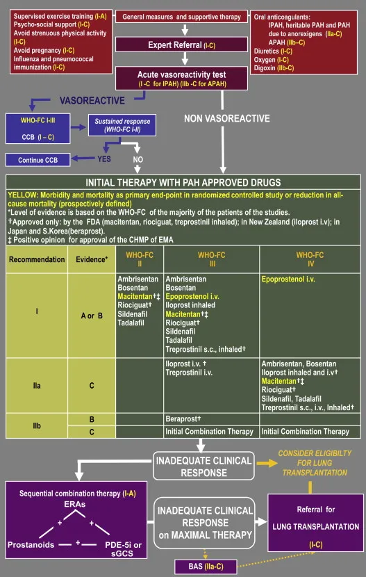 Pulmonary Hypertension Management Algorithm