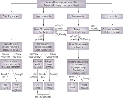 Pediatric Systemic Hypertension Diagnostic Algorithm