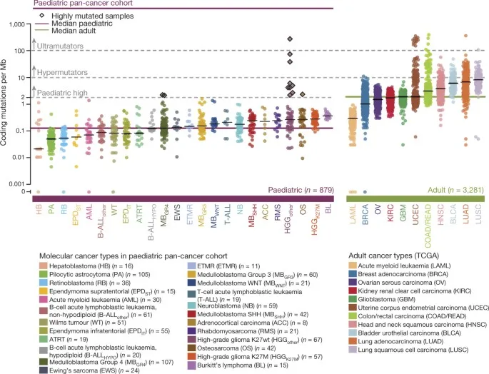 Pediatric vs. Adult Cancer Mutation Rates