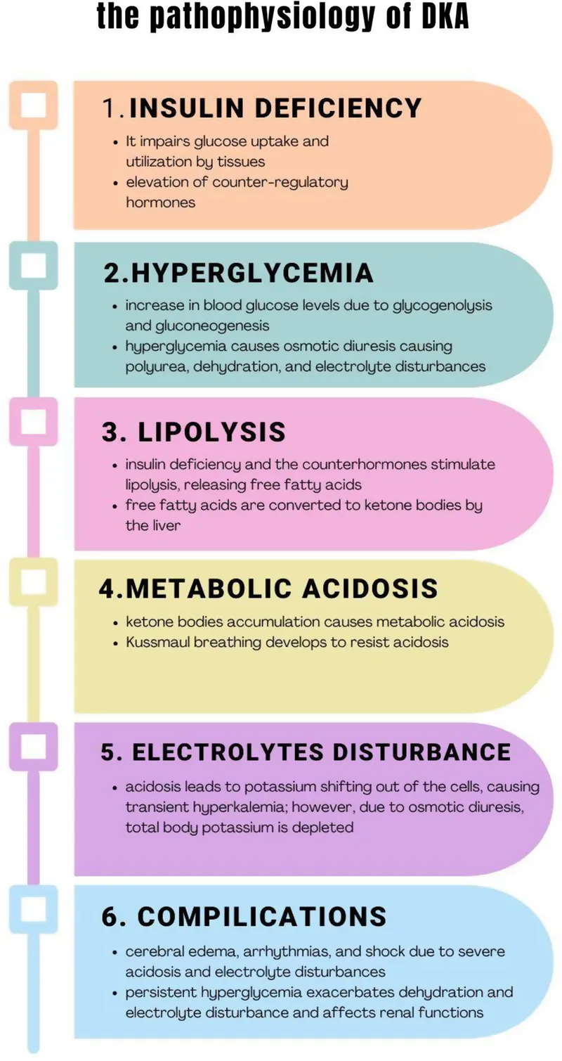 Pathophysiology of DKA