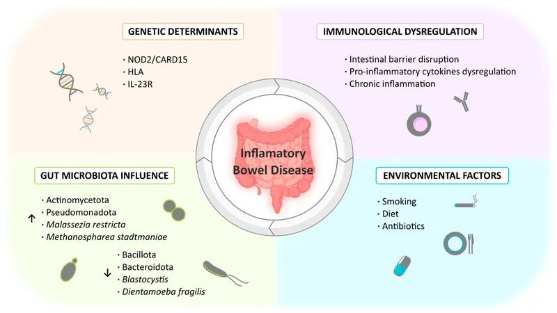 IBD Immune Dysregulation: Genetics, Microbiome, Environment