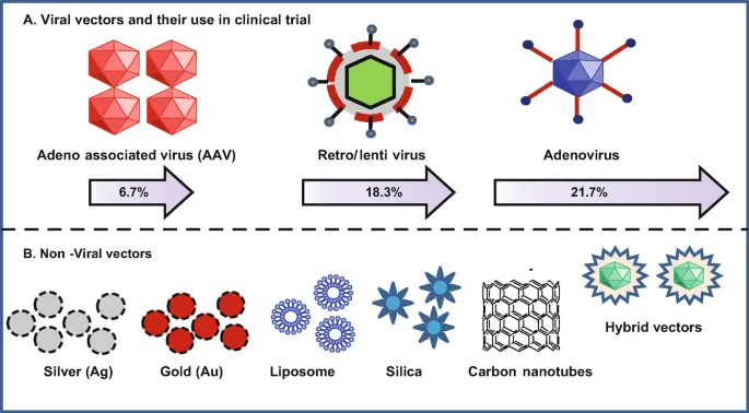 Viral and Non-Viral Gene Therapy Vectors and Clinical Use