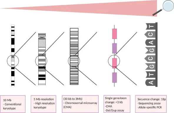 Genetic Testing Resolution: Karyotype to Sequencing