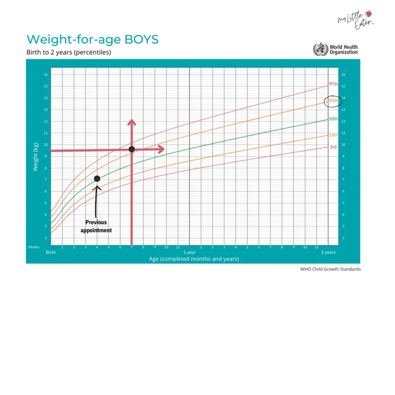 WHO Growth Chart: Boys Weight-for-Age (Birth to 2 Years)