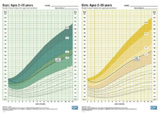 BMI-for-age percentiles for boys and girls (2-20 years)