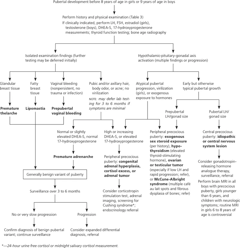 Delayed Puberty Diagnostic Algorithm