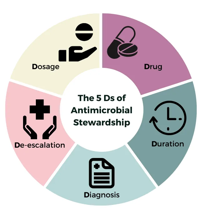The 5 Ds of Antimicrobial Stewardship