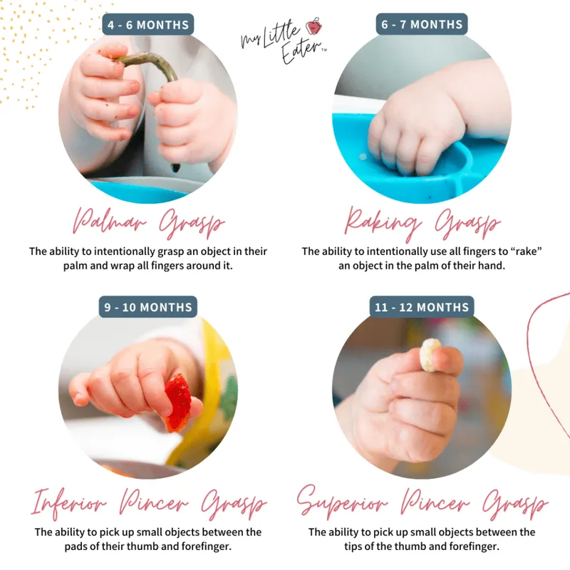 Infant Grasp Development: Palmar to Superior Pincer