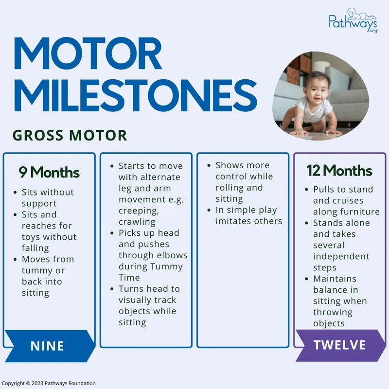 Gross Motor Milestones: 9 and 12 Months