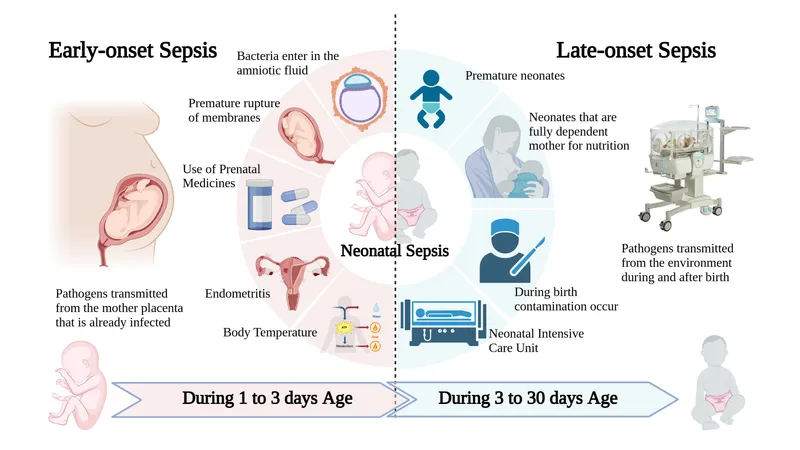 Early vs. Late-Onset Neonatal Sepsis: Causes & Risk Factors