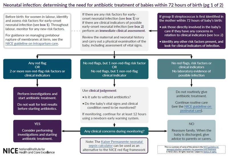 Neonatal Infection: Antibiotic Treatment Algorithm