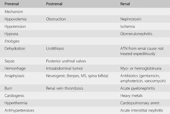 Pediatric AKI Causes: Prerenal, Intrinsic, Postrenal