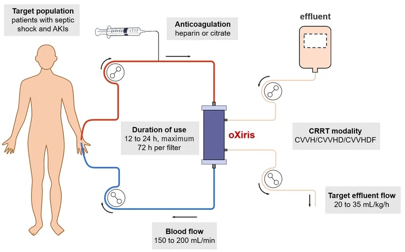 CRRT circuit diagram with oXiris filter