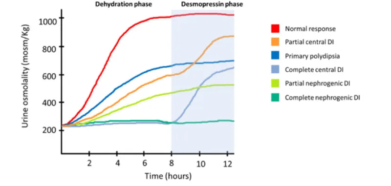 Water Deprivation Test Results