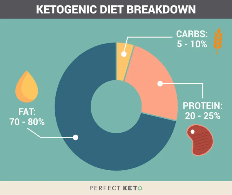 Ketogenic Diet Macronutrient Breakdown