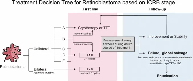 Retinoblastoma Treatment Decision Tree by ICRB Stage