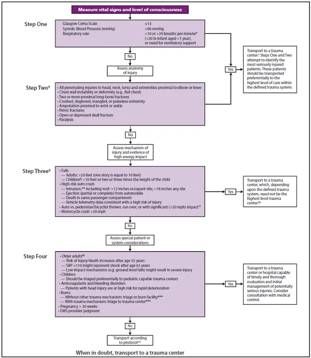 Pediatric Trauma Patient Assessment