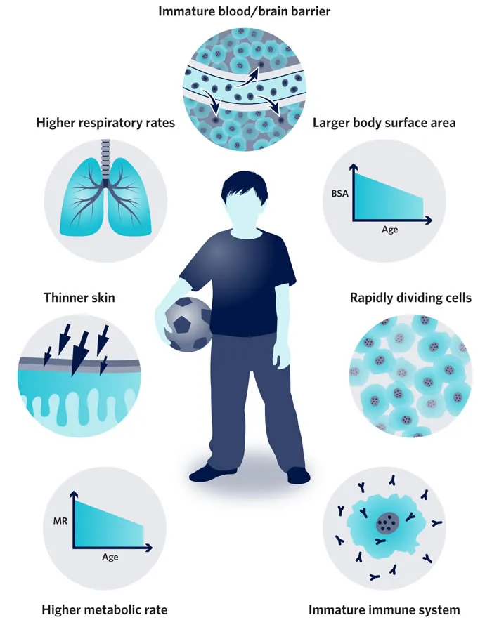 Child Physiology and Environmental Toxin Exposure