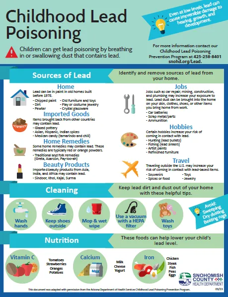 Childhood Lead Poisoning Sources & Prevention