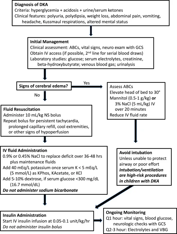 Pediatric DKA Management Algorithm