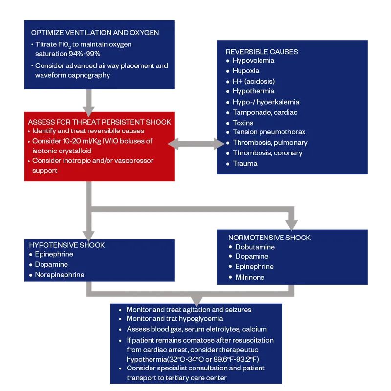 Pediatric Post-ROSC Care Algorithm