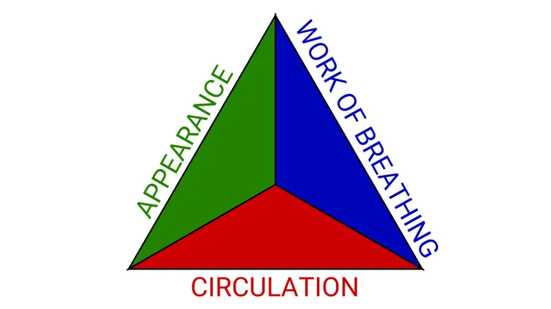 Pediatric Assessment Triangle (PAT)