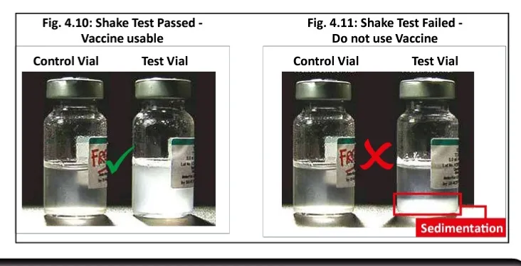 Shake Test for Vaccines: Passed vs. Failed Vials