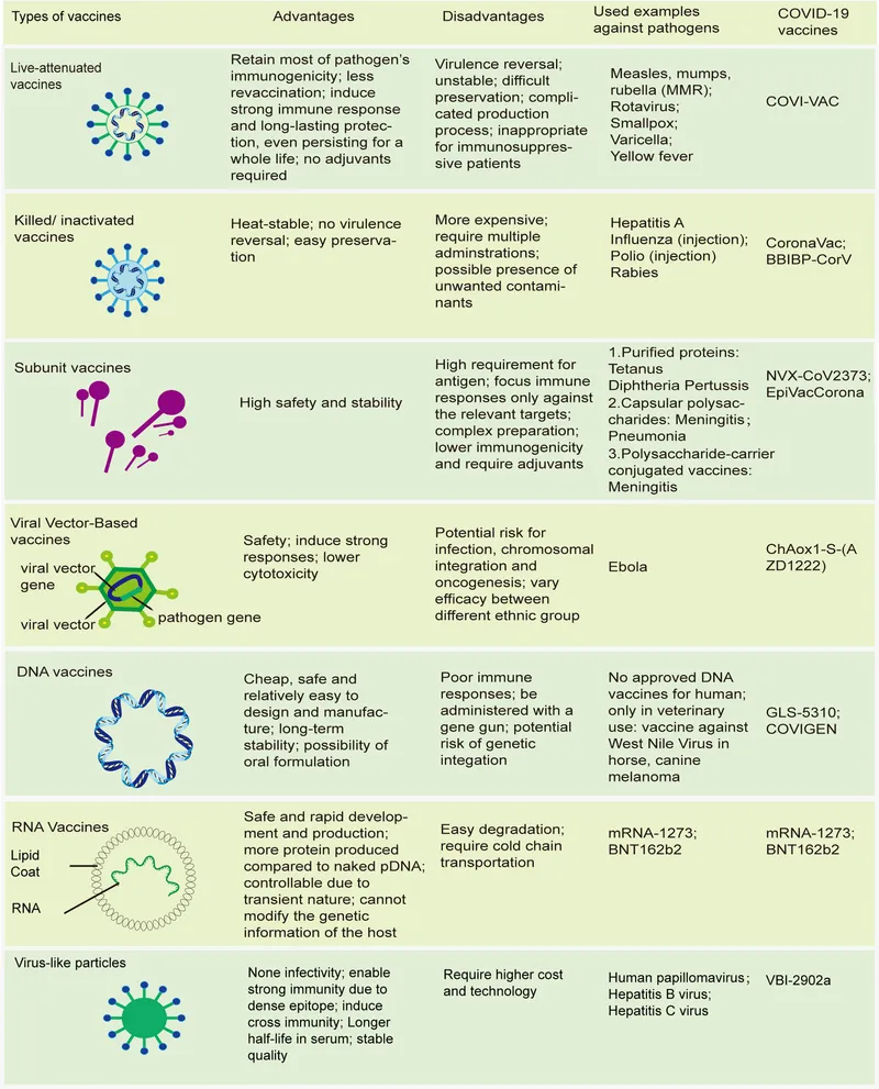 Types of Vaccines: Advantages, Disadvantages, and Examples
